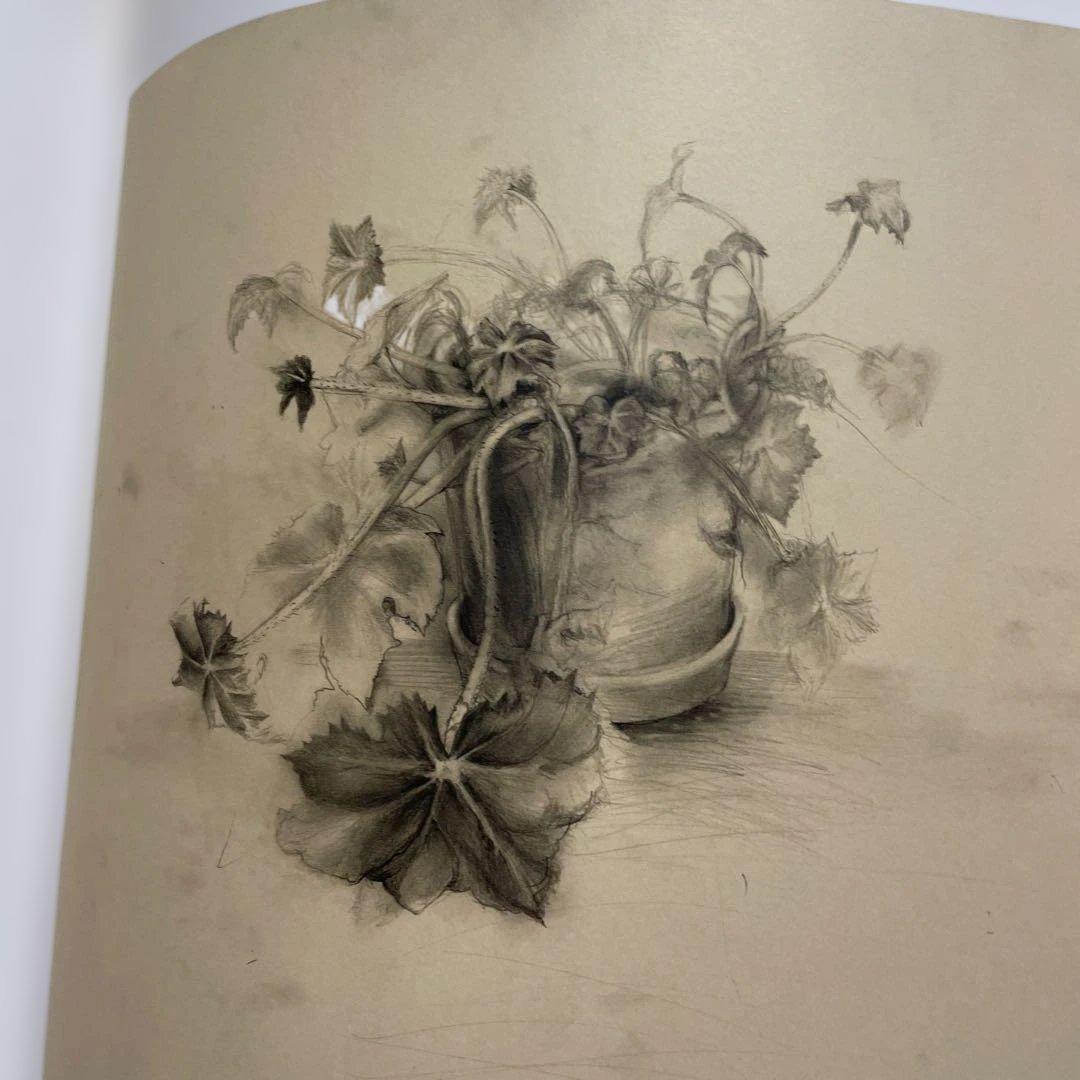 Jim Dine, some drawings　ジム・ダイン画集　洋書