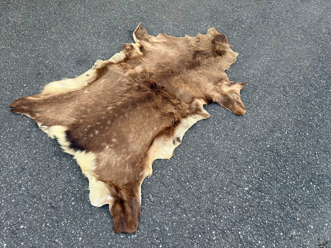 日本鹿 ラグマット 毛皮 敷物 ブランケット 蝦夷鹿 ブッシュクラフト キャンプ