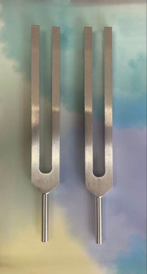 チューニングフォーク2本セット 脂肪、筋肉音叉