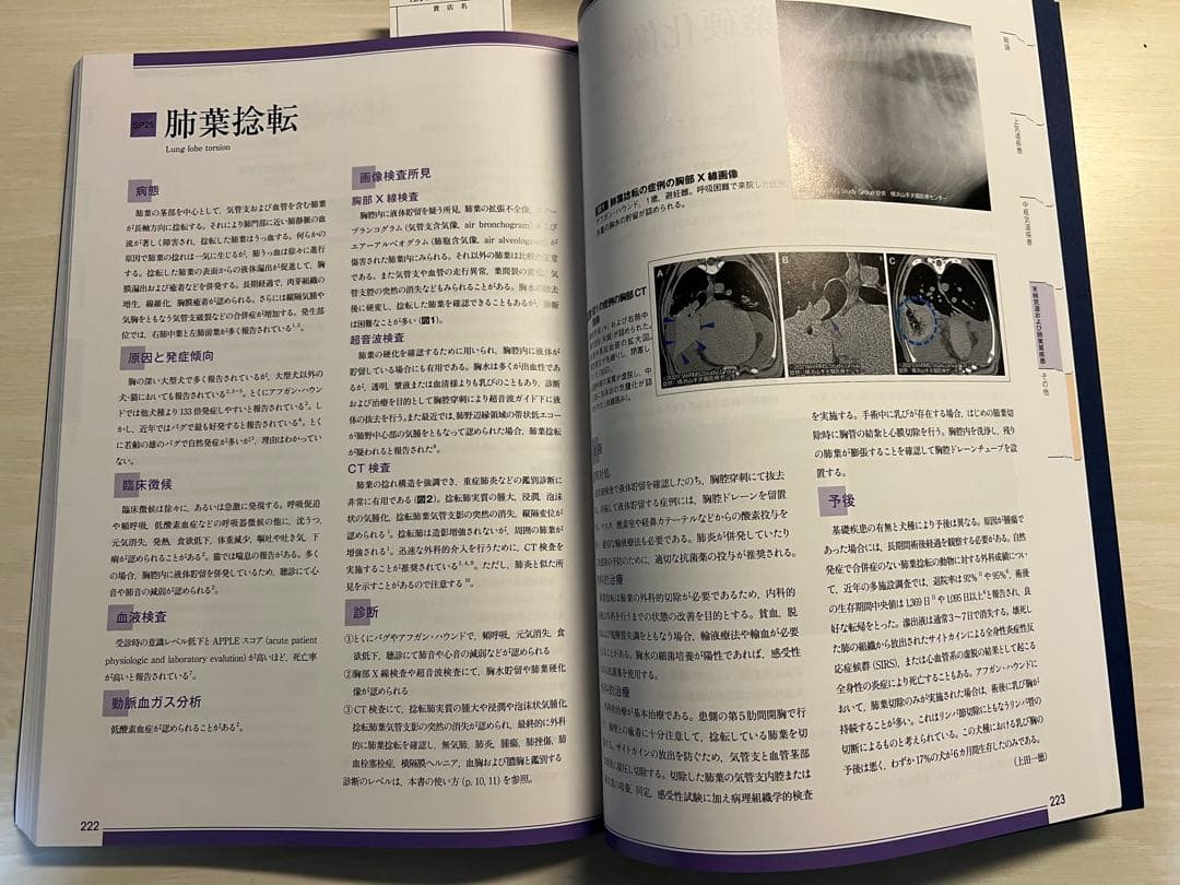 犬と猫の呼吸器疾患（裁断なし）