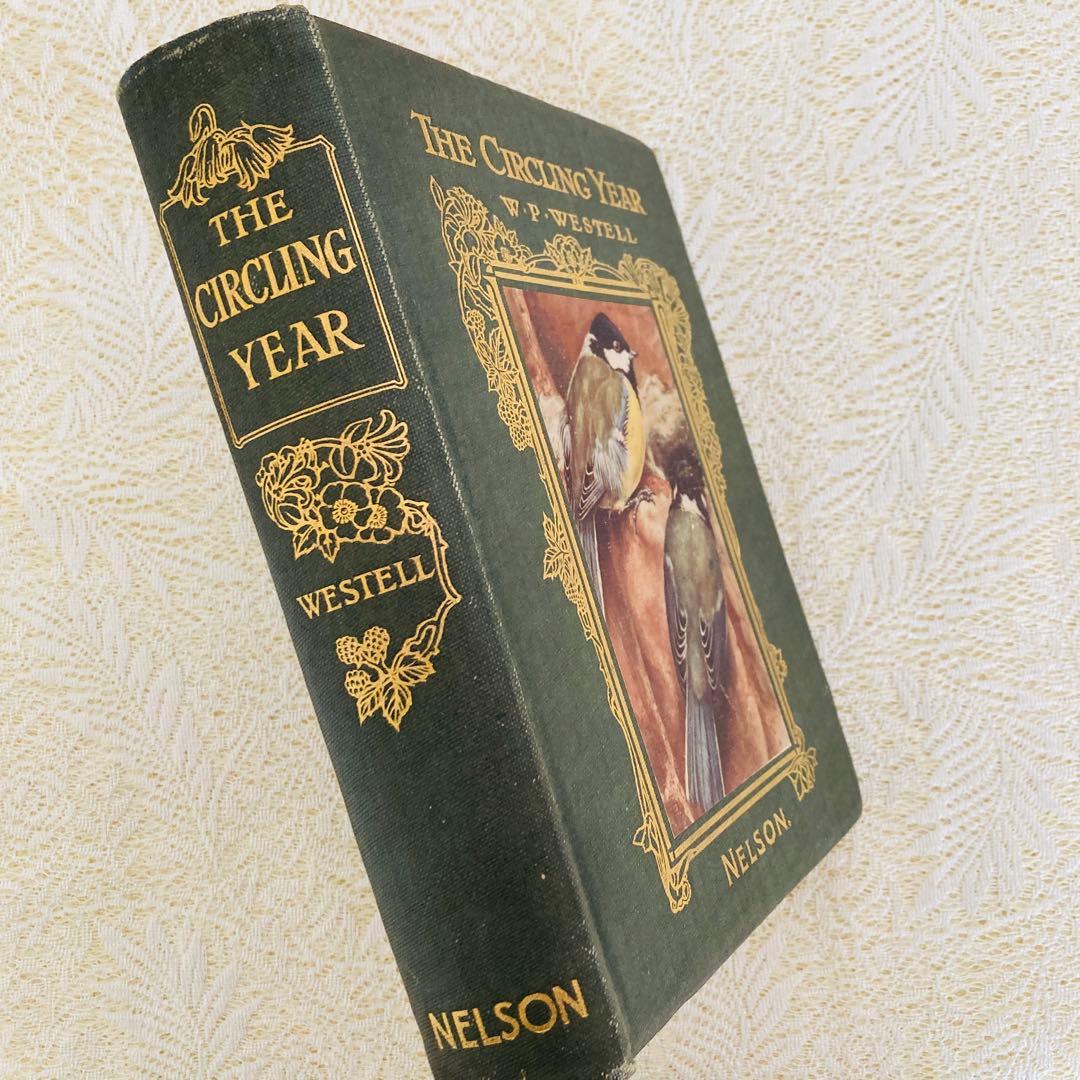 希少　イギリスのアンティーク動植物図鑑　鮮やかで美しいイラスト♡　洋書・古書