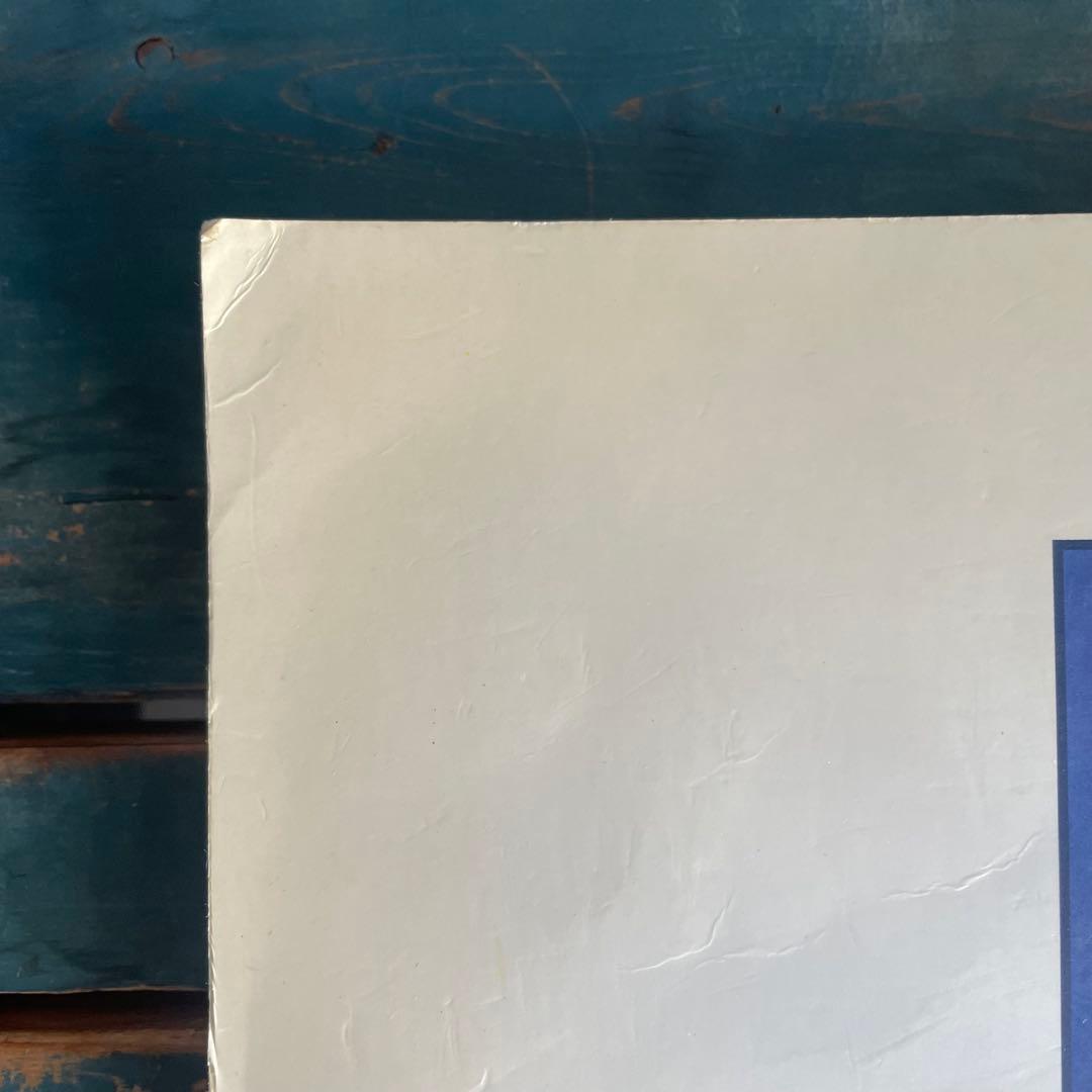 DMC/絶版/希少/フランス刺繍/DMC 刺繍図案集