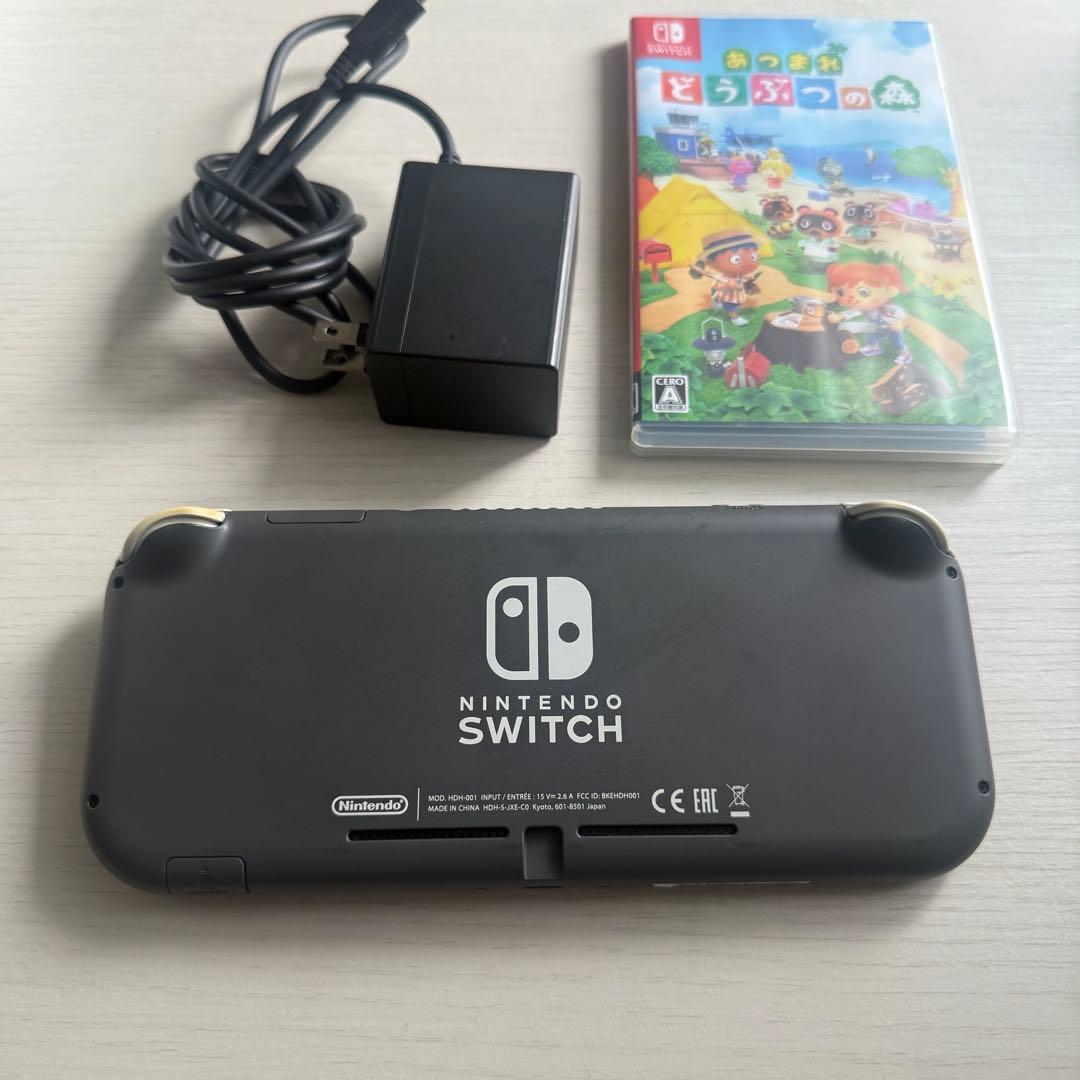 シャッド　Nintendo Switch Liteセット