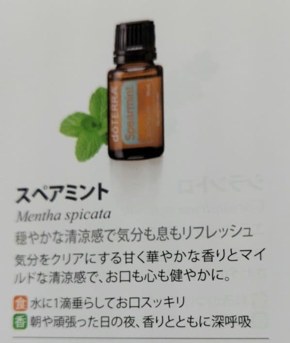 ドテラ アロマオイル 2本セット