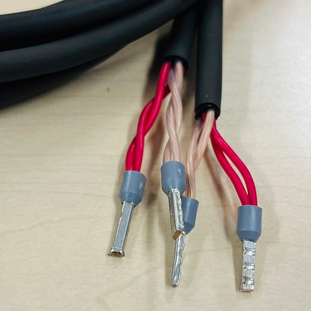 メーカー点検済 CAV製 真空管プリメインアンプ T-5 SPケーブル付属