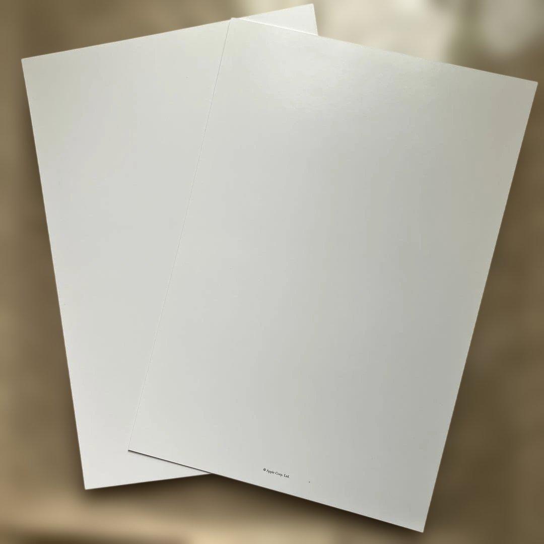 シュリンク付き/The BEATLES /ホワイトアルバム