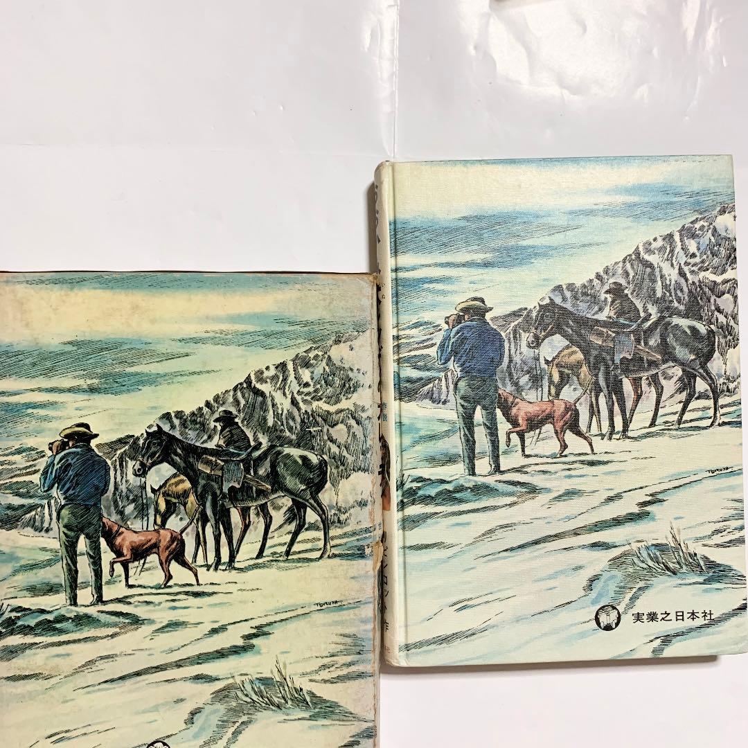 おおかみ犬レッディ 函入りハードカバー 初版本 リピンコット 前田三恵子