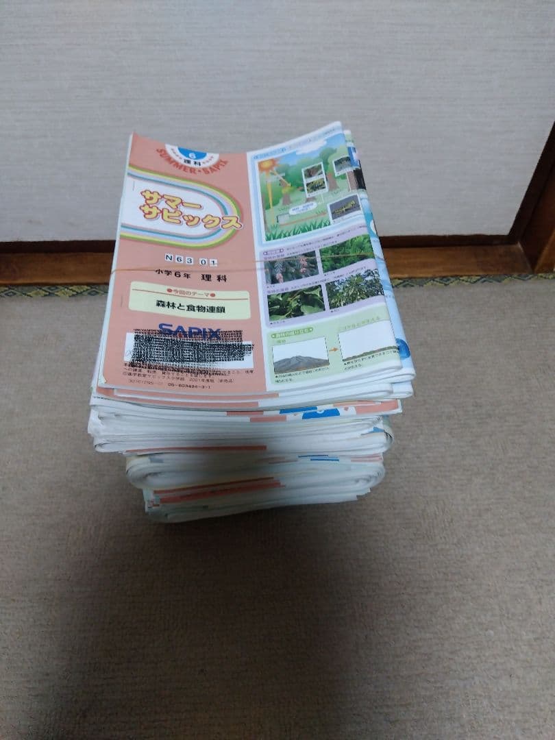 2021年度 サピックス 小学6年 理科