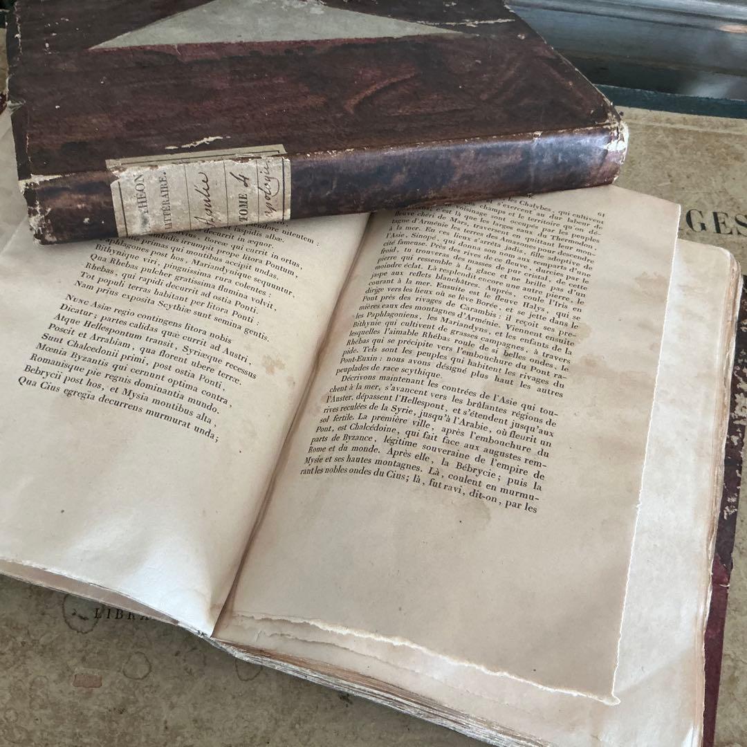 １９世紀　フランスアンティーク　２冊　ラベルだけの本　古書　ブロカント　古紙