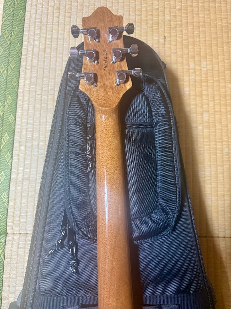 GRASS ROOTS G-AC-45 ケース付コンパクトアコースティックギター