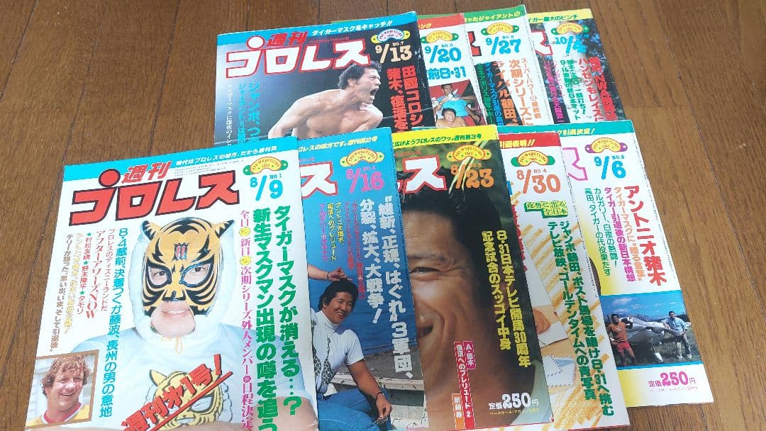 週刊プロレス　創刊号～30号