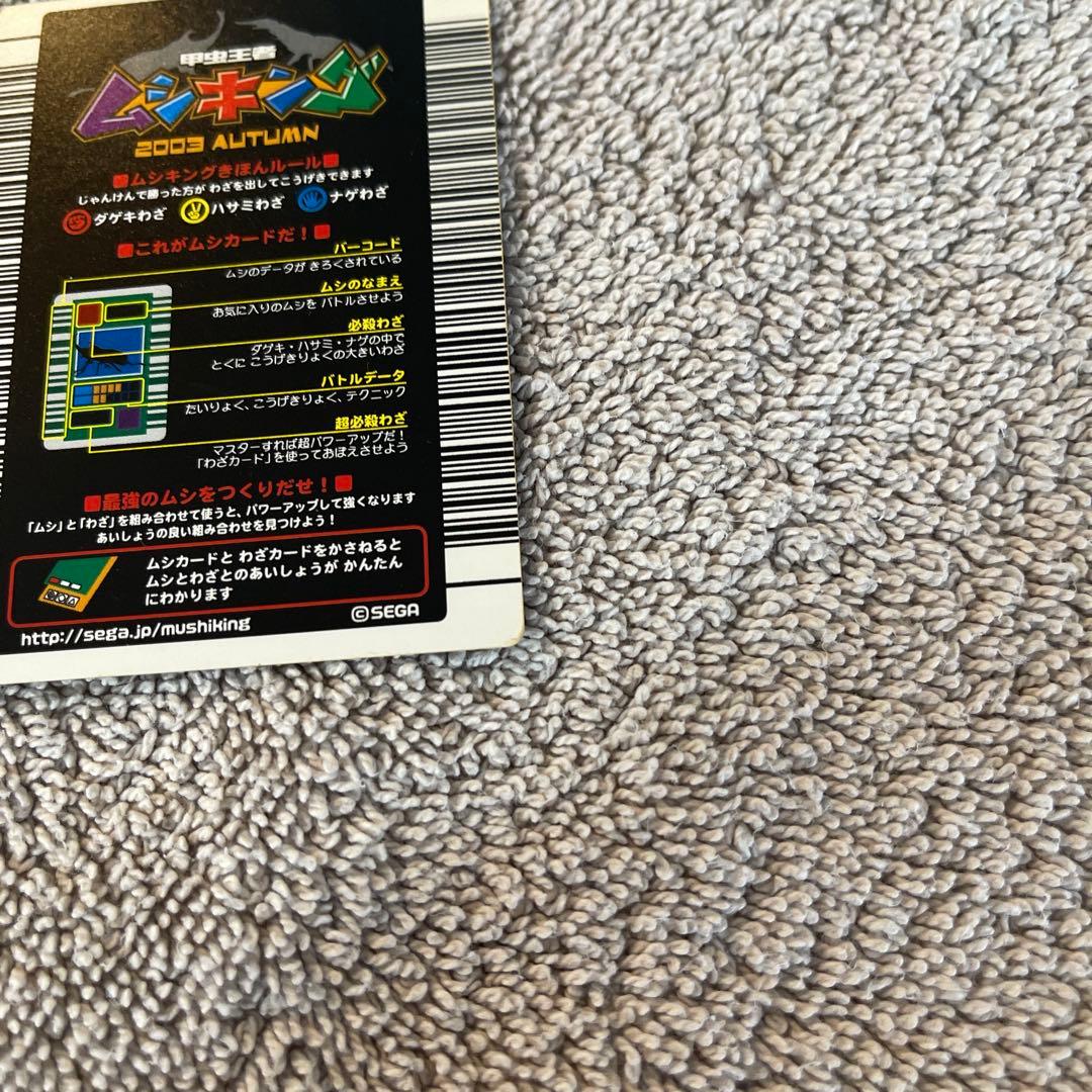 キラファノコギリクワガタ