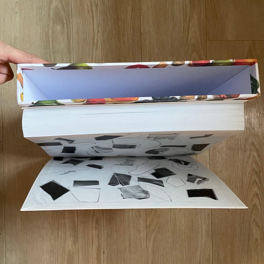 Walter Pfeiffer Scrap books 冊子付き