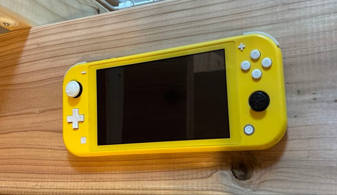 Switch ライト　ケース付き