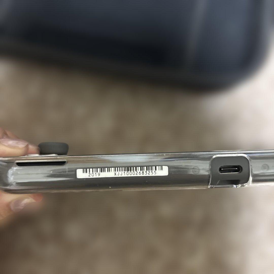 Nintendo Switch Lite グレー 本体と充電器、ケース付き