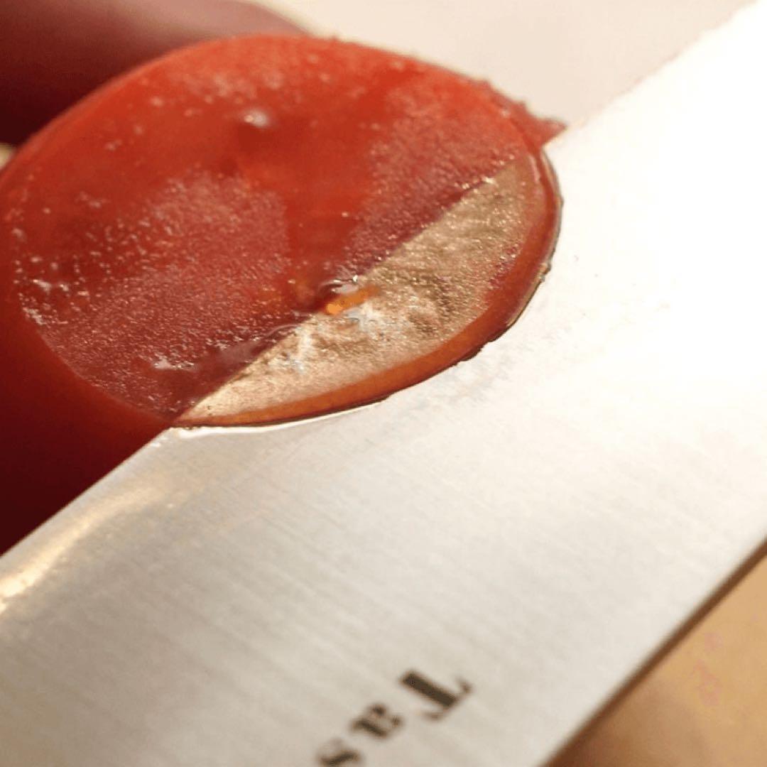 Tashinam タシナム完全無欠包丁