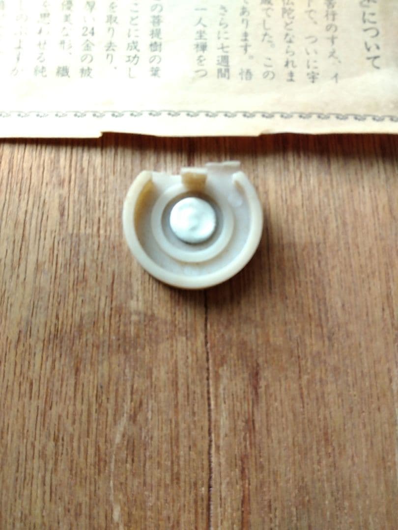 菩提樹　葉脈　24金コーティングアート