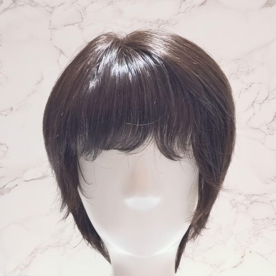 アートネイチャージュリアオージェANCS HM1-1DE5 Sサイズフルウィッグ