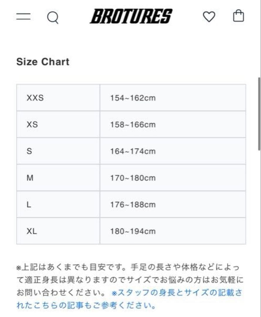 LEADER BIKE リーダーバイク725 ピスト　Lサイズ