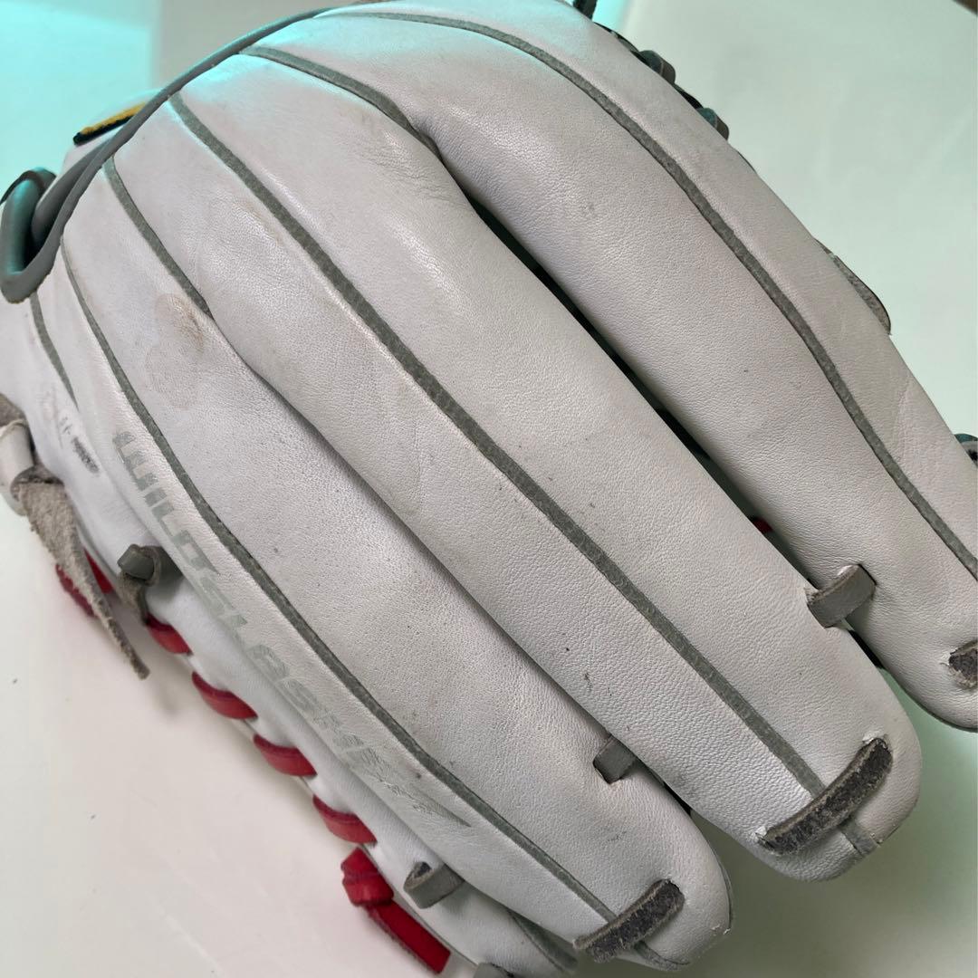 NIKE ナイキ 一般 大人用 軟式 野球 グローブ グラブ 大人気 レアカラー