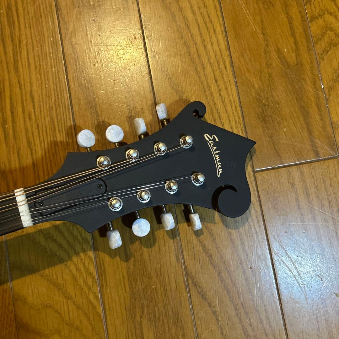 フラットマンドリン　イーストマン　md-315 /CLA ピックアップ付き