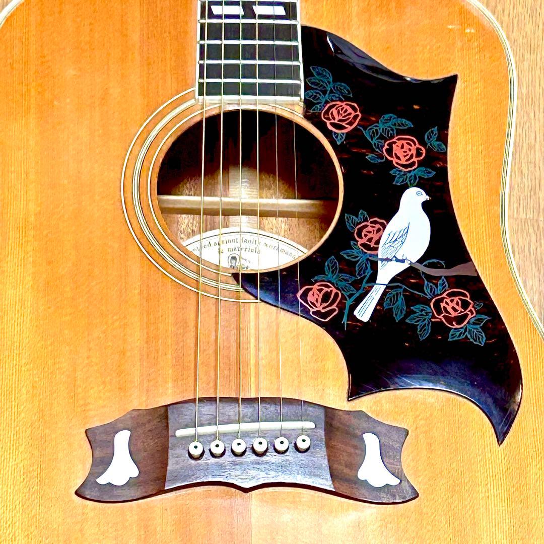 【ギブソン・ダヴモデル】モーリス WD-25N ☆ ビビリ音無し・音色良好！