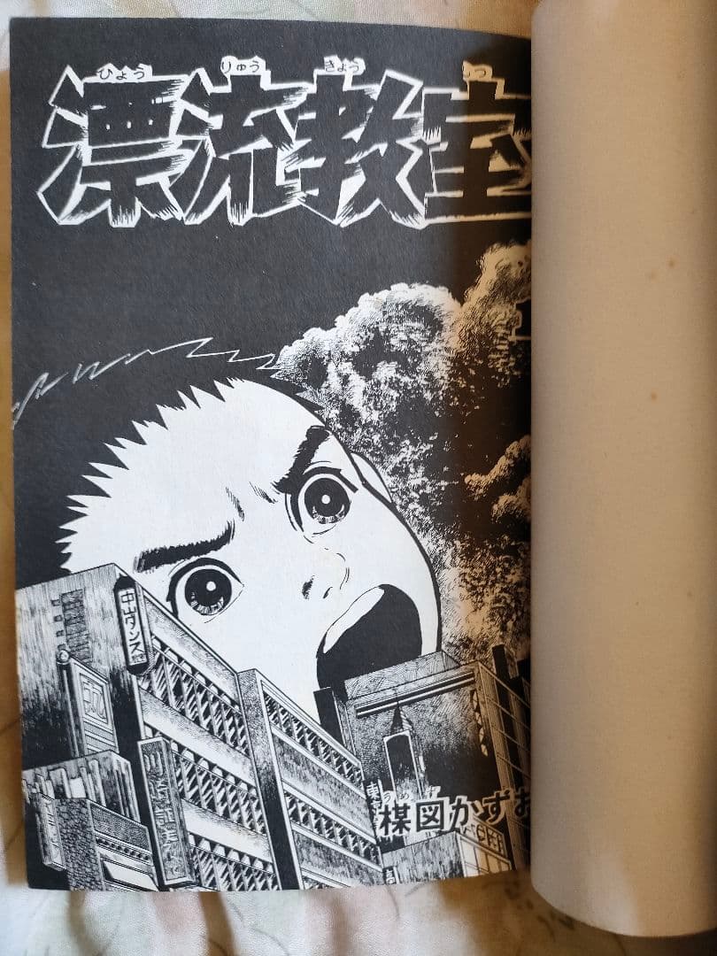 楳図かずお先生の【漂流教室】全巻セット(11冊)