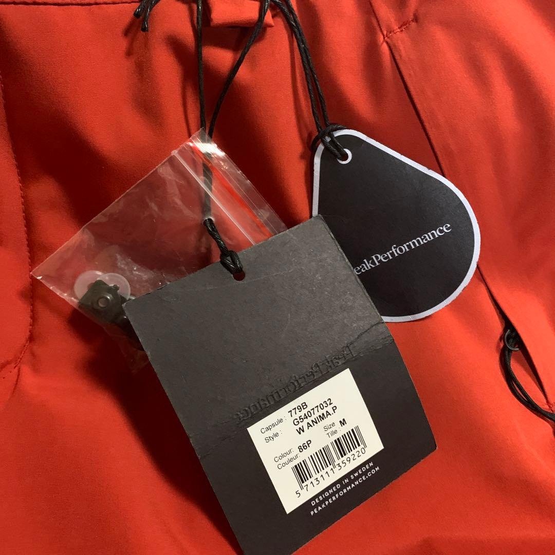 最終ピークパフォーマンス　スキー　パンツ　中綿入り　アニマパンツ　レディース　L