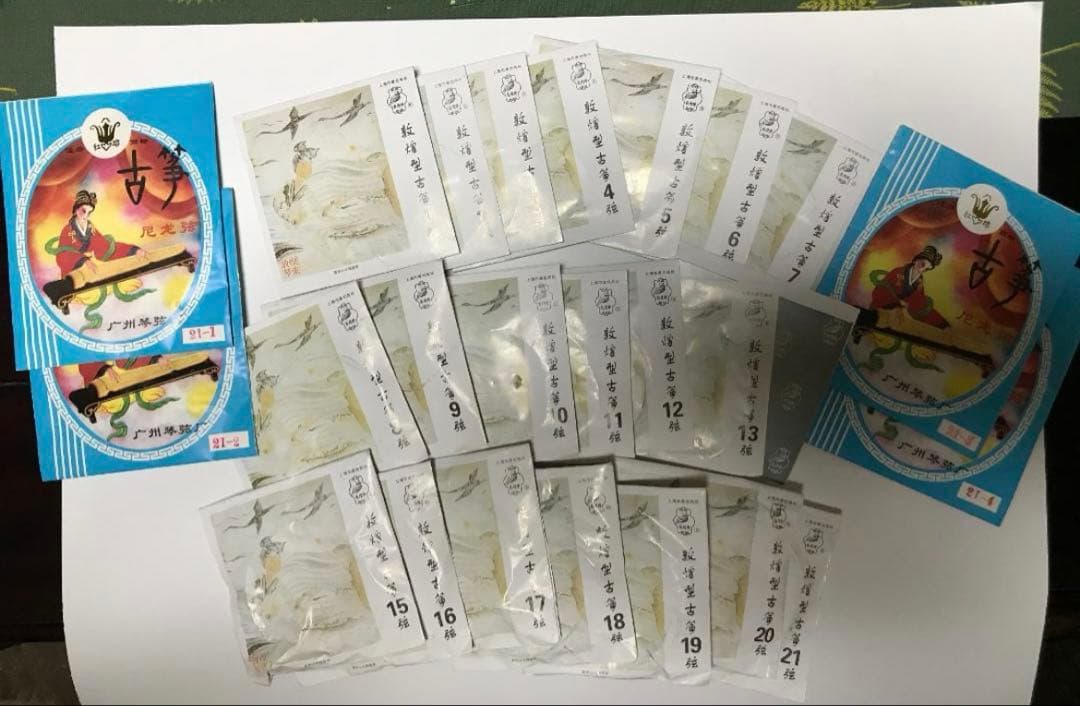 中国古筝21弦筝本体及びハードケース、立奏台、琴柱、調弦ハンマー、交換用新品弦