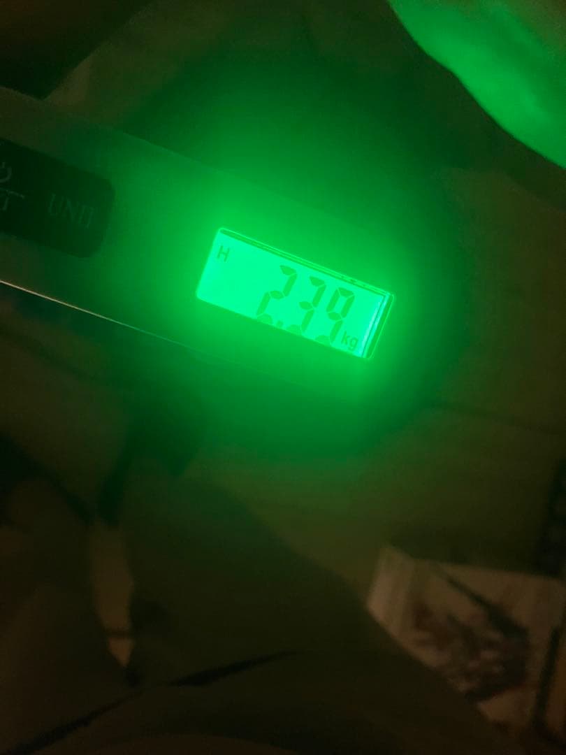 〈入手困難〉RALEIGH  RACER