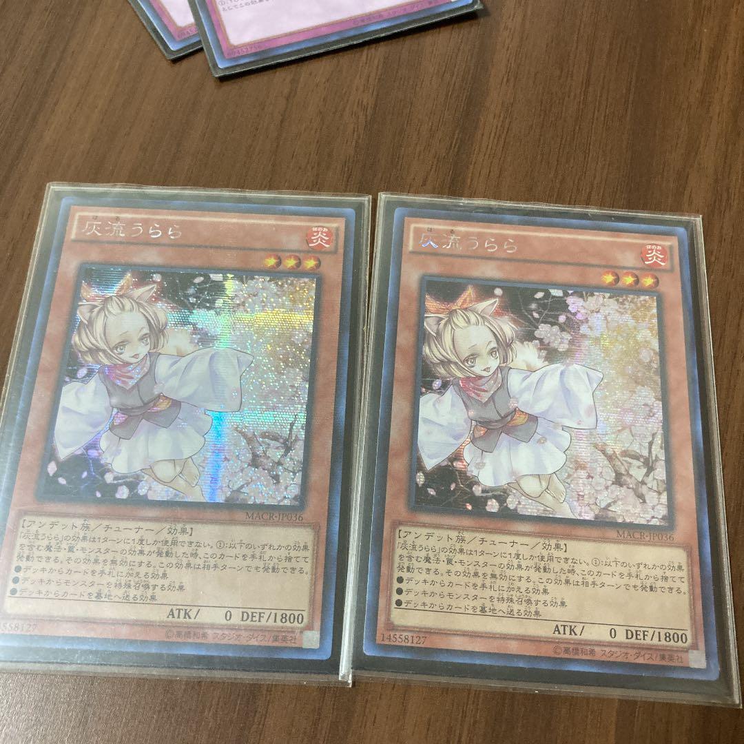 遊戯王 灰流うらら　アシク　2枚