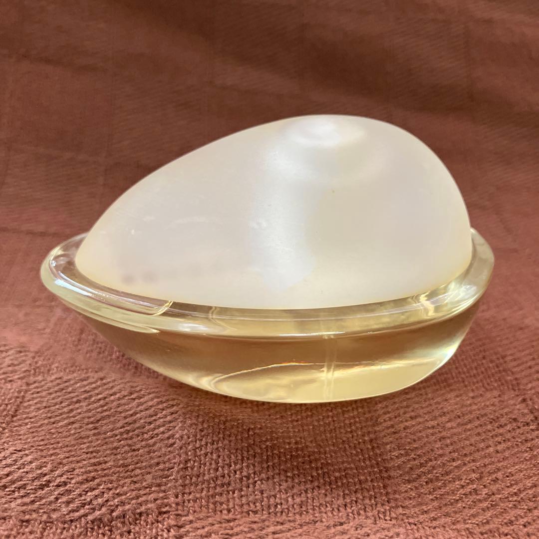 値下げ　タンジュディチェリ　アンナム　オードパルファン