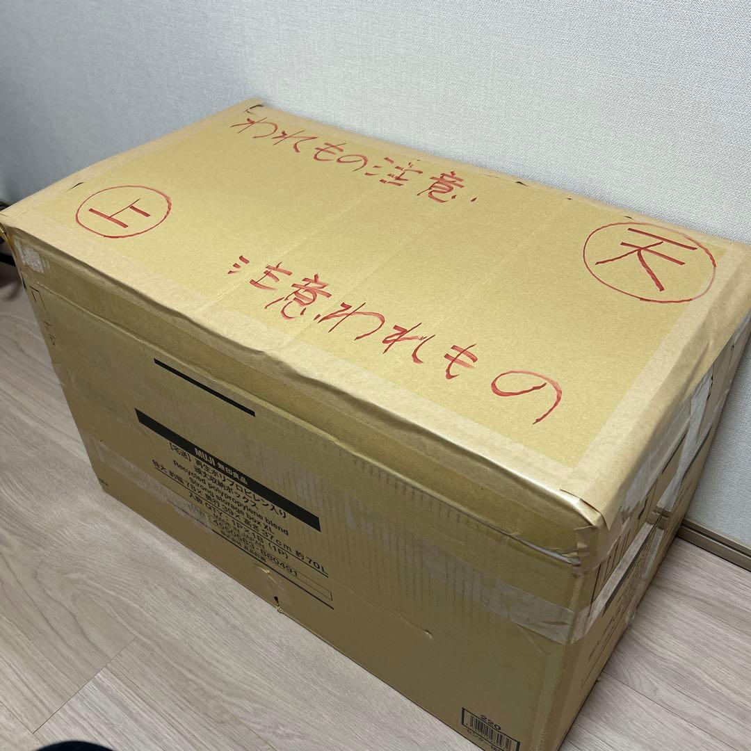 RENAULT ルノー LIGHT8 ライト8 輪行バッグあり　14インチ