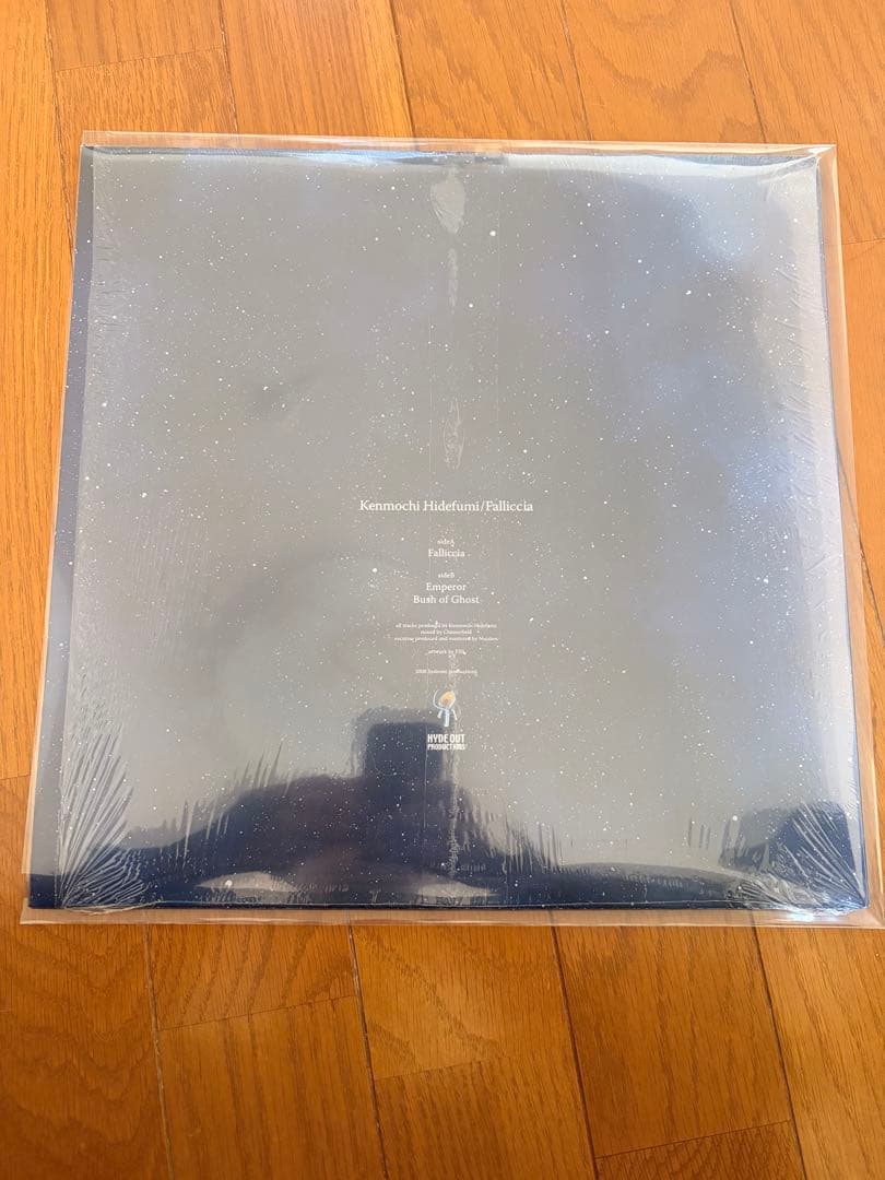 Kenmochi Hidefumi／Falliccia 12インチレコード
