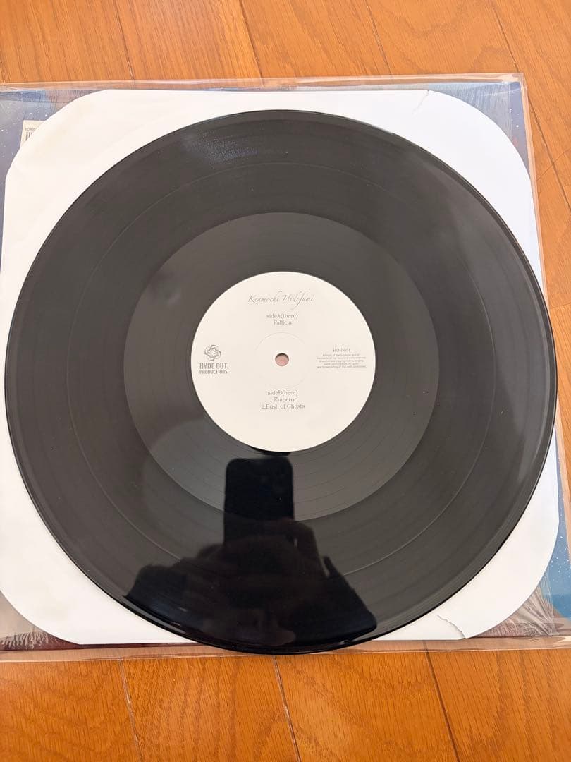 Kenmochi Hidefumi／Falliccia 12インチレコード