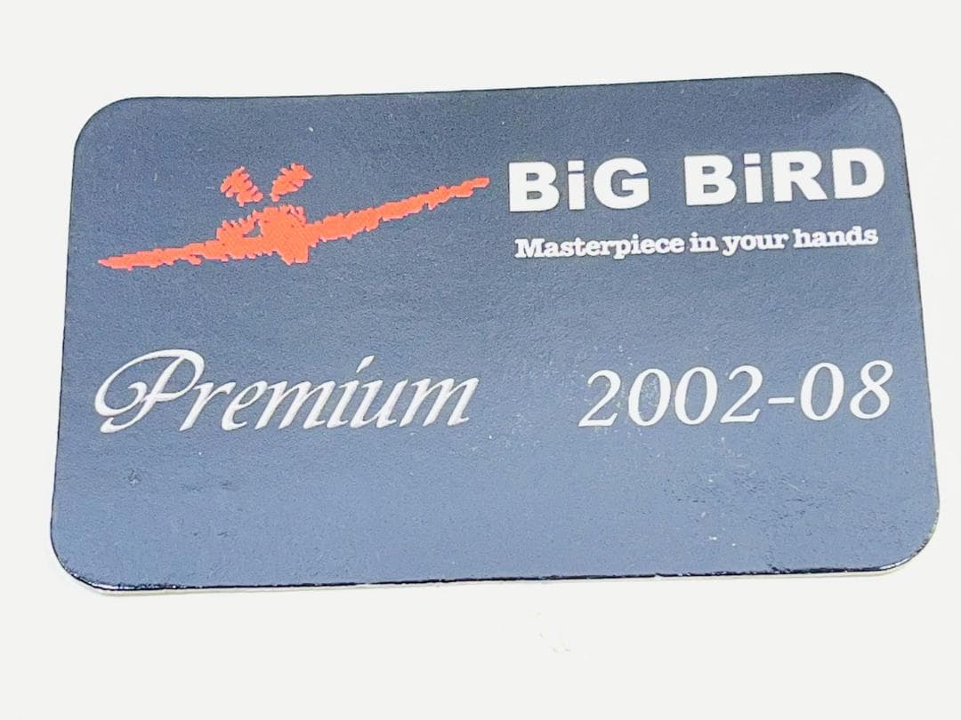 171Z JAL DREAM EXPRESS FRIENDS 1/500 限定品