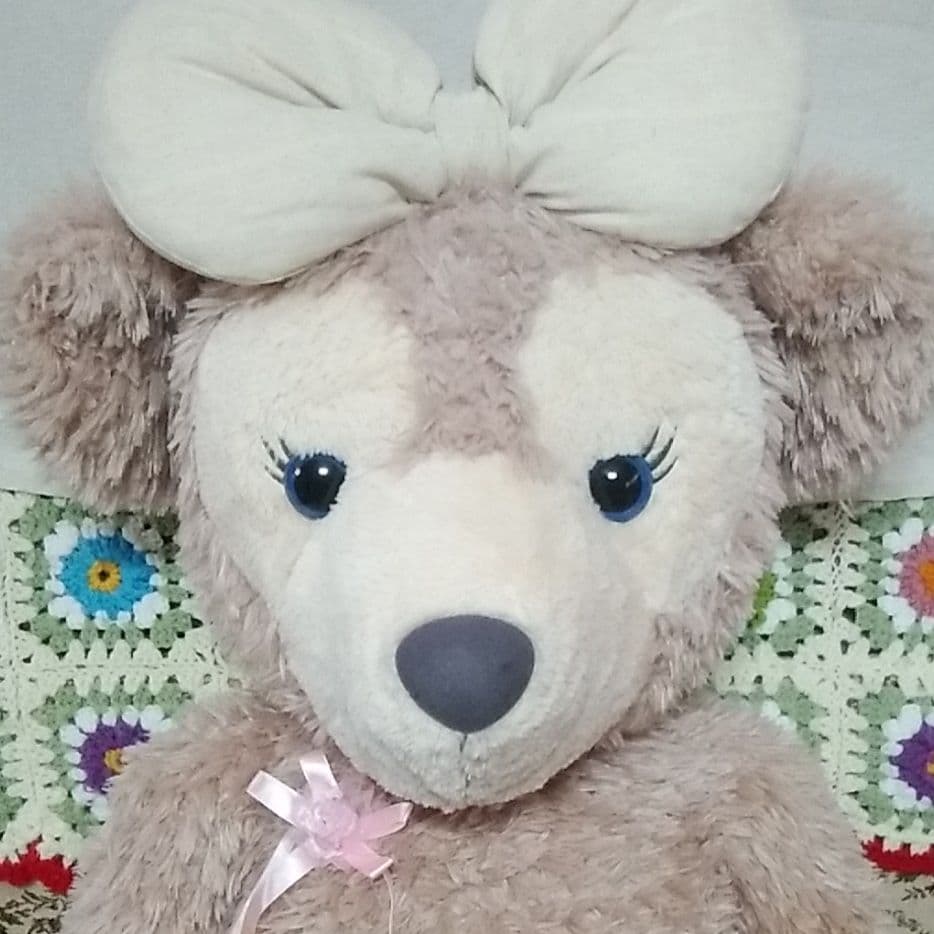 デズニーランド、くま、クマ、ディベアーフワフワ、 ぬいぐるみ、ビック