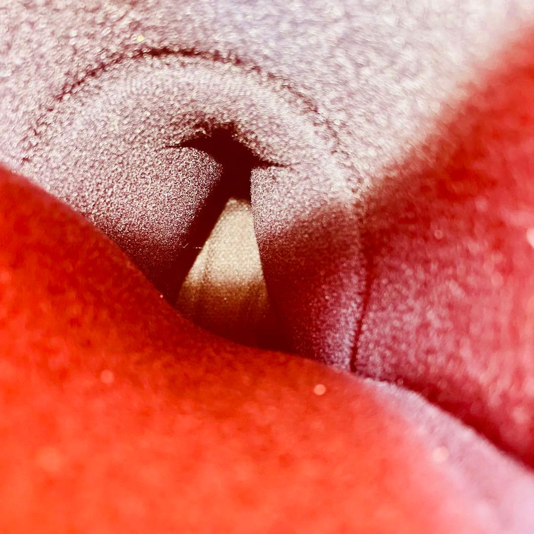 ロシニョール　EVO70 スキー　ブーツ　26.5cm rossignol