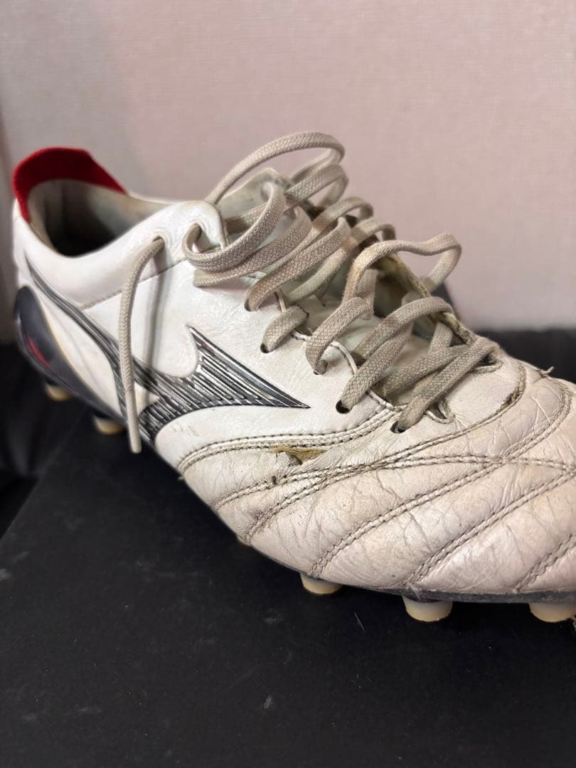 モレリアNEO4 ホワイトBK 24.0