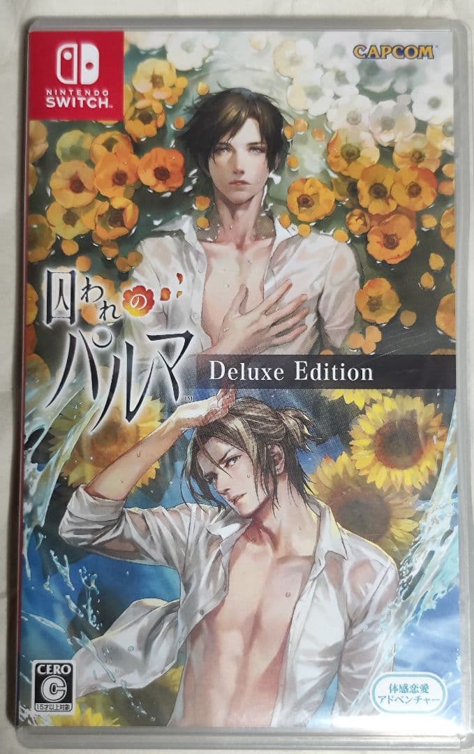 中古　囚われのパルマ デラックス エディション　動作確認済み