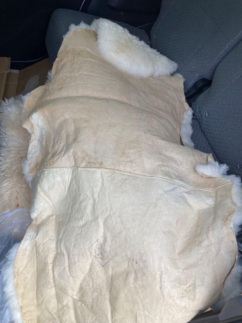 Bowron 羊毛ラグ クリーム色 ニュージーランド産