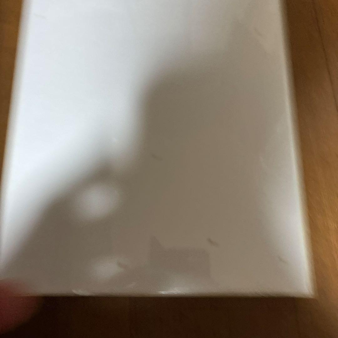 ‼️超希少品新品未使用品‼️スヌーピーは熱帯の楽園で宝物を探す