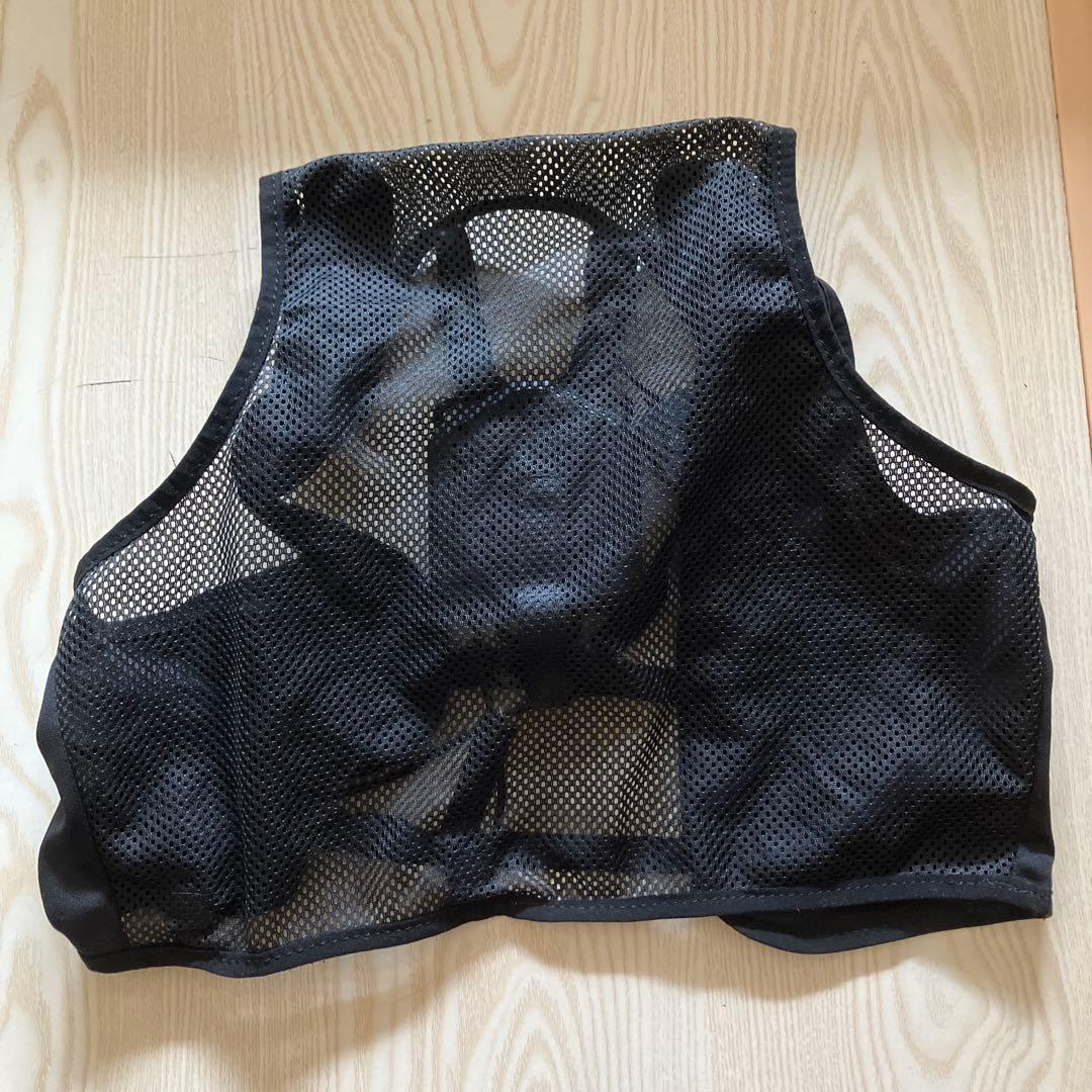 美品⭐️リンクス　ペルチェベスト　冷暖　2025年購入　フリーサイズ