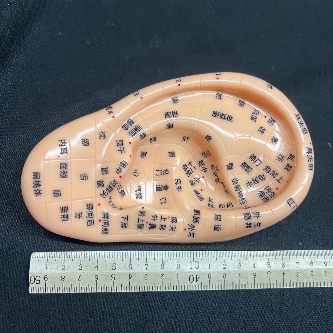 〇Od54 未使用保管品 鍼 ツボ モデル 手 耳 足 3点まとめ