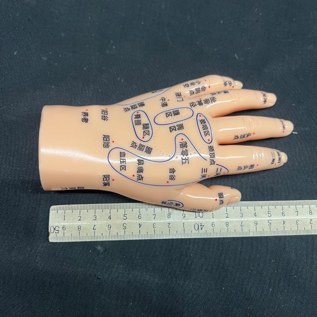 〇Od54 未使用保管品 鍼 ツボ モデル 手 耳 足 3点まとめ