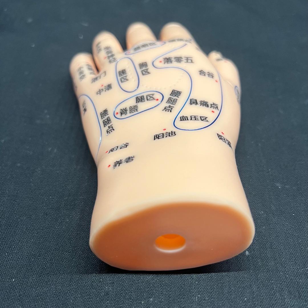 〇Od54 未使用保管品 鍼 ツボ モデル 手 耳 足 3点まとめ