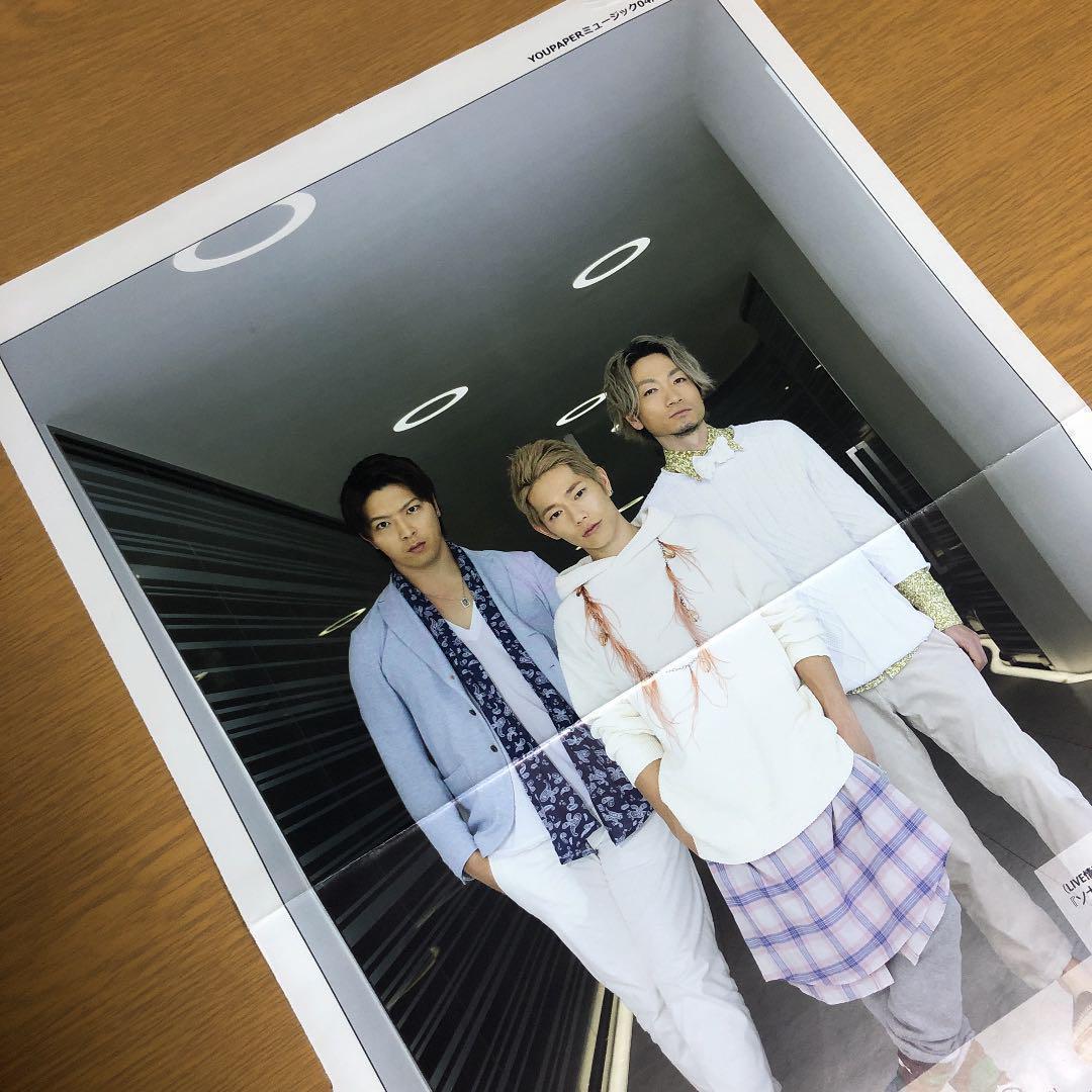 【送料無料】ソナポケ 掲載ページ（約A3サイズ）#6899