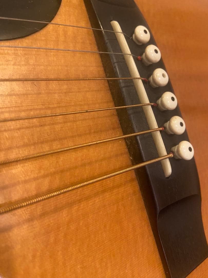 Cat's Eyes CE-400 アコースティックギター　ハードケース付き