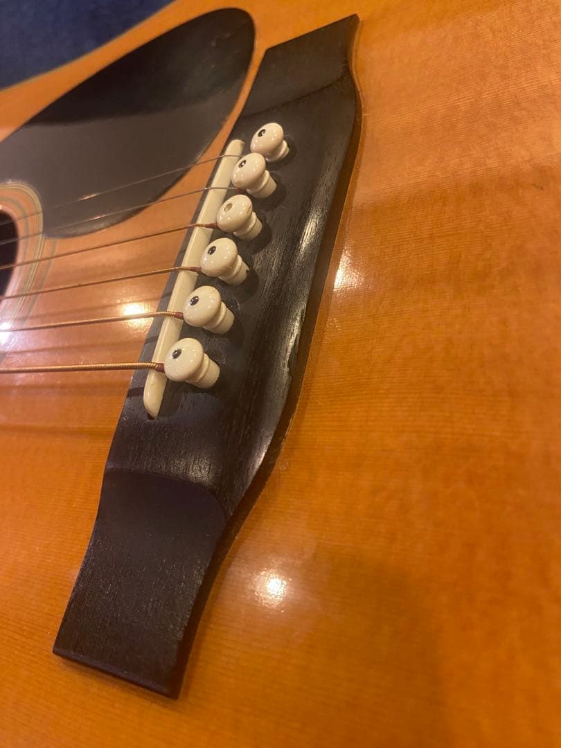 Cat's Eyes CE-400 アコースティックギター　ハードケース付き