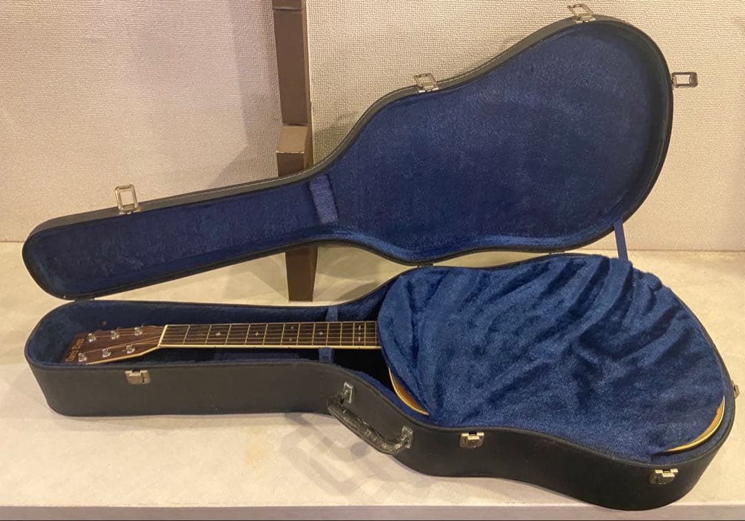 Cat's Eyes CE-400 アコースティックギター　ハードケース付き